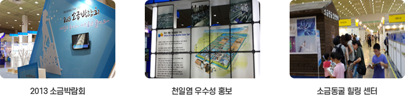 2013 소금박람회 주요행사 이미지